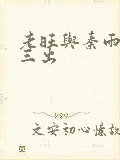 老旺与秦雨三进三出