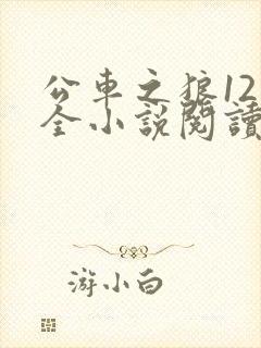 公车之狼12集全小说阅读