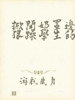 掀开奶罩边躁狠狠躁学生的小文字