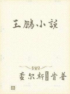 王鹏小说