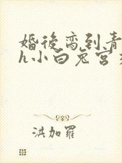 婚后脔到青梅哭h小白兔宫交h