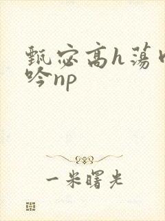 甄宓高h荡肉呻吟np