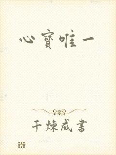 心宝唯一