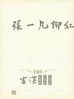 张一凡柳红封面