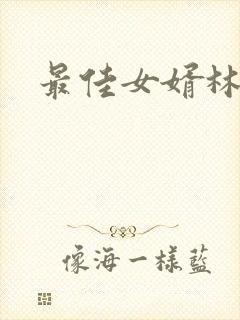 最佳女婿林凡封面