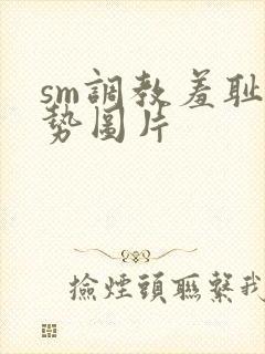 sm调教羞耻姿势图片