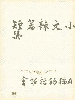 短篇辣文小说合集