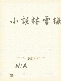 小说林雪梅
