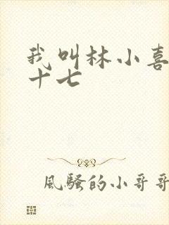 我叫林小喜今年十七封面