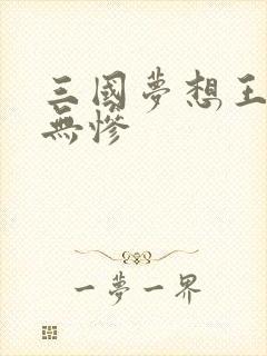 三国梦想王元姬无惨