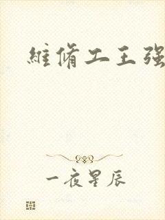 维修工王强张婷封面