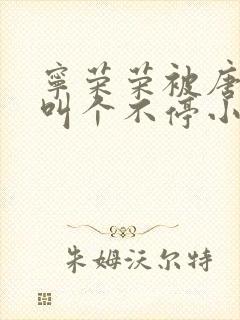 宁荣荣被唐三桶叫个不停小说