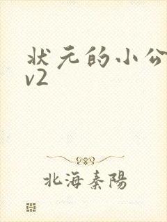 状元的小公主1v2封面