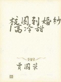 校园到婚纱1V1高冷甜