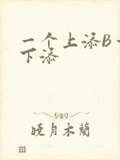 一个上添B一个下添