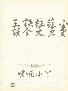 王铁柱苏小汐小说全文免费阅读最新章节