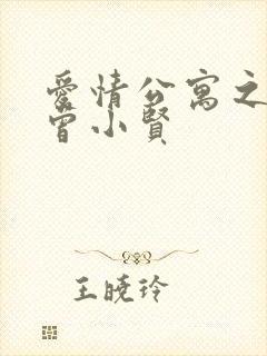 爱情公寓之极品曾小贤