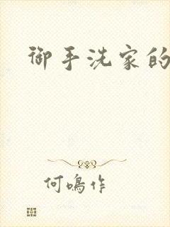 御手洗家的墙洞封面