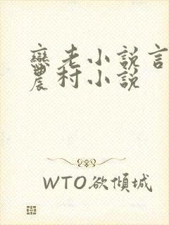 恋老小说言情网农村小说