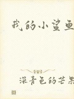 我的小鲨鱼
