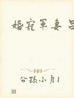 婚宠军妻 吕颜封面