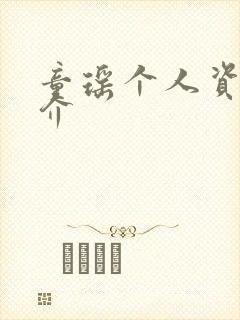 童瑶个人资料简介封面