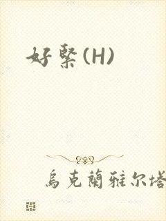 好紧(H)