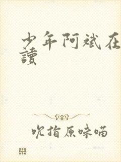 少年阿斌在线阅读