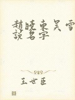 赵晓东吴雪晴小说名字