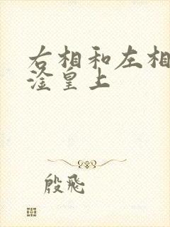 右相和左相一起淦皇上封面