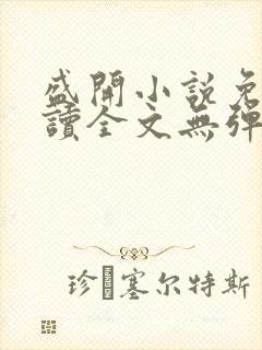 盛开小说免费阅读全文无弹窗