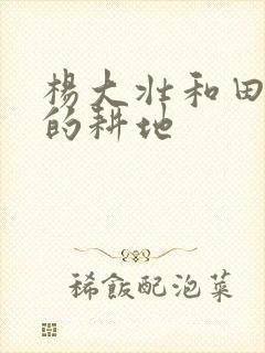 杨大壮和田桂花的耕地封面