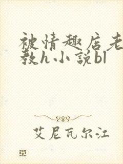 被情趣店老板调教h小说bl