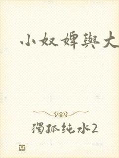 小奴婢与大少爷