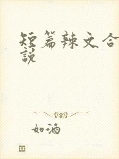 短篇辣文合集小说