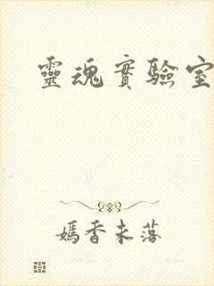 灵魂实验室封面