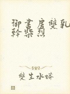 御书房双乳晃动干柴烈