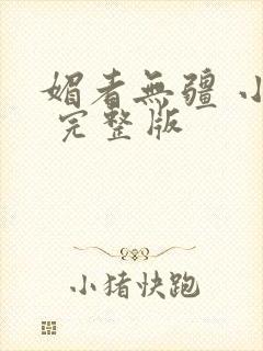 媚者无疆 小说 完整版封面