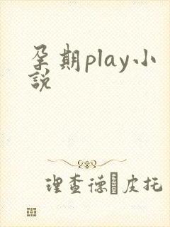 孕期play小说封面