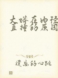 大蟒在内径横冲直撞的原因