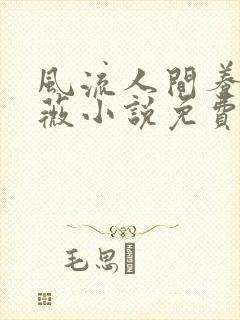 风流人间养父采薇小说免费笔趣阁封面