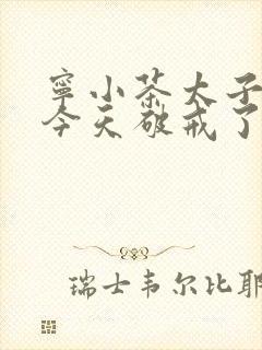 宁小茶太子殿下今天破戒了吗免费阅读封面