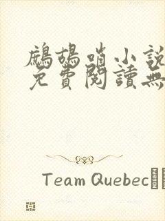 鹧鸪哨小说网站免费阅读无弹窗