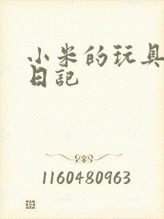 小米的玩具羞辱日记