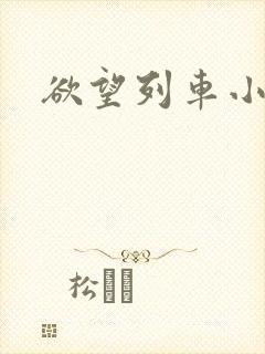 欲望列车小说
