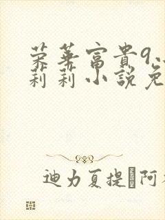 荣华富贵9小王莉莉小说免费阅读