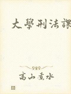 大学刑法课