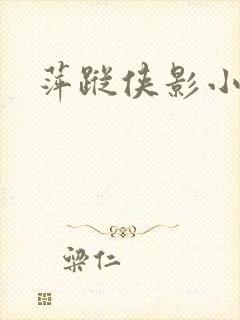 萍踪侠影小说封面