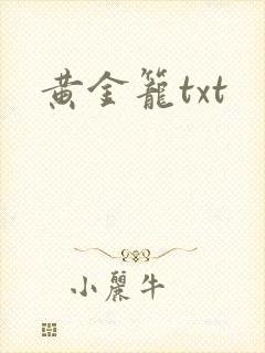黄金笼txt封面