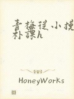 青梅从小摸到大补课h